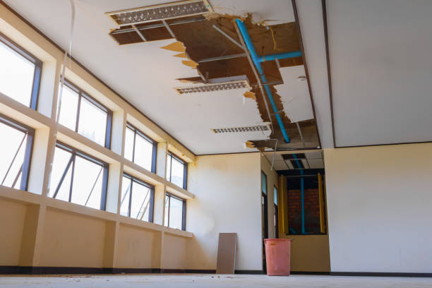Best Water damage restoration experts  in Center Moriches, NY