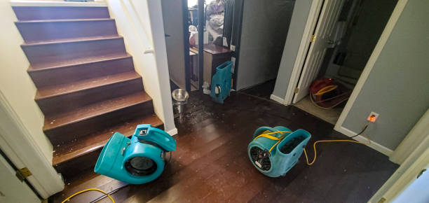 Best Ceiling water damage repair  in Center Moriches, NY