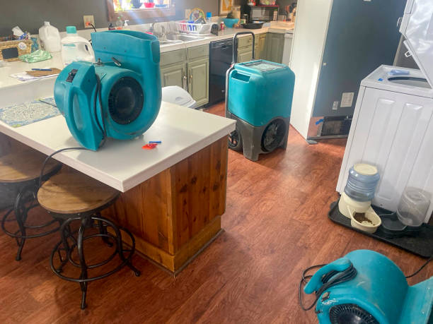 Best Water damage restoration near me  in Center Moriches, NY