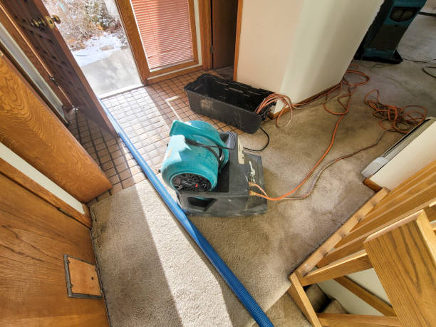 Center Moriches, NY Water damage restoration Pros